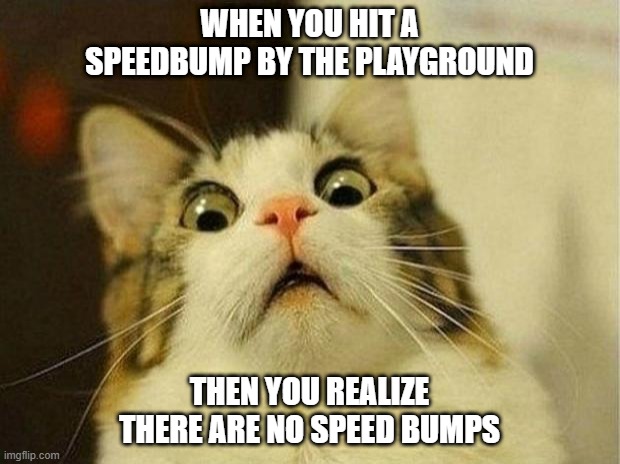 Speed Bump? | WHEN YOU HIT A SPEEDBUMP BY THE PLAYGROUND; THEN YOU REALIZE THERE ARE NO SPEED BUMPS | image tagged in memes,scared cat | made w/ Imgflip meme maker