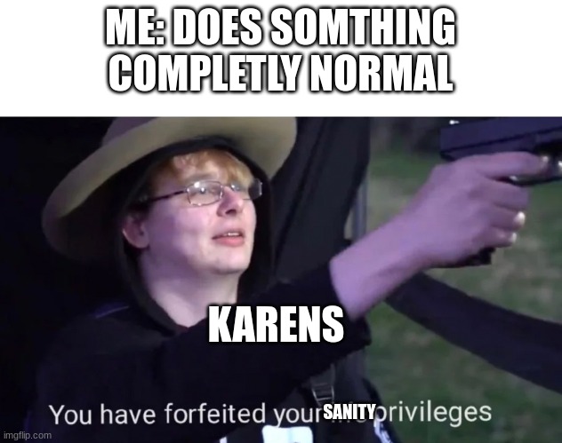 why is this kinda true... | ME: DOES SOMTHING COMPLETLY NORMAL; KARENS; SANITY | image tagged in you have forfeited life privileges | made w/ Imgflip meme maker