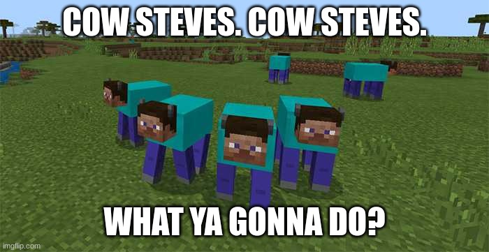 Cow Steves | COW STEVES. COW STEVES. WHAT YA GONNA DO? | image tagged in cow steves | made w/ Imgflip meme maker