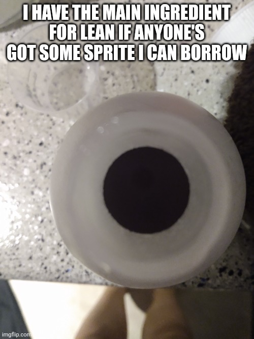 I HAVE THE MAIN INGREDIENT FOR LEAN IF ANYONE'S GOT SOME SPRITE I CAN BORROW | made w/ Imgflip meme maker