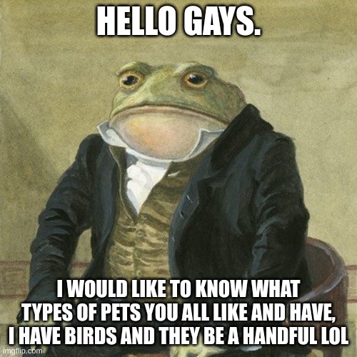 Gentlemen, it is with great pleasure to inform you that | HELLO GAYS. I WOULD LIKE TO KNOW WHAT TYPES OF PETS YOU ALL LIKE AND HAVE, I HAVE BIRDS AND THEY BE A HANDFUL LOL | image tagged in gentlemen it is with great pleasure to inform you that | made w/ Imgflip meme maker