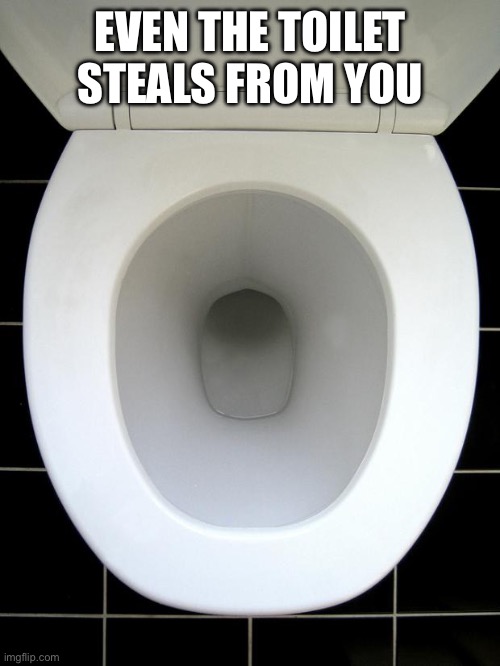 TOILET | EVEN THE TOILET STEALS FROM YOU | image tagged in toilet | made w/ Imgflip meme maker