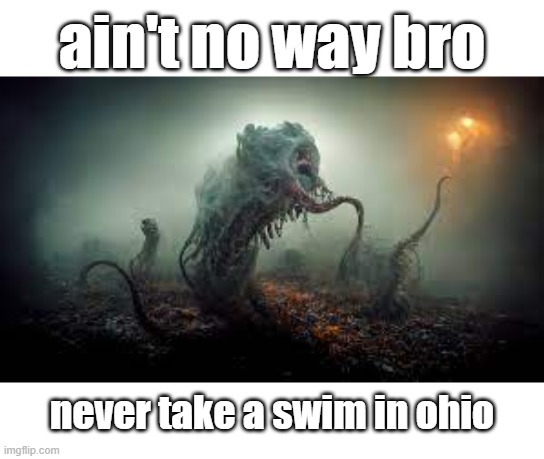 Ohio Lake | ain't no way bro; never take a swim in ohio | image tagged in ohio | made w/ Imgflip meme maker
