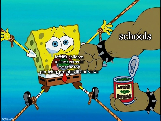 bro you can get in trouble for pointing out the flaws and annoyances of the liberal view etc | schools; forcing children to have extreme over the top pro-lgbtq/pro-blm/liberal views | image tagged in spongebob force fed | made w/ Imgflip meme maker