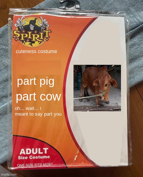 Spirit Halloween | cuteness costume; part pig; part cow; oh... wait... i meant to say part you | image tagged in spirit halloween | made w/ Imgflip meme maker