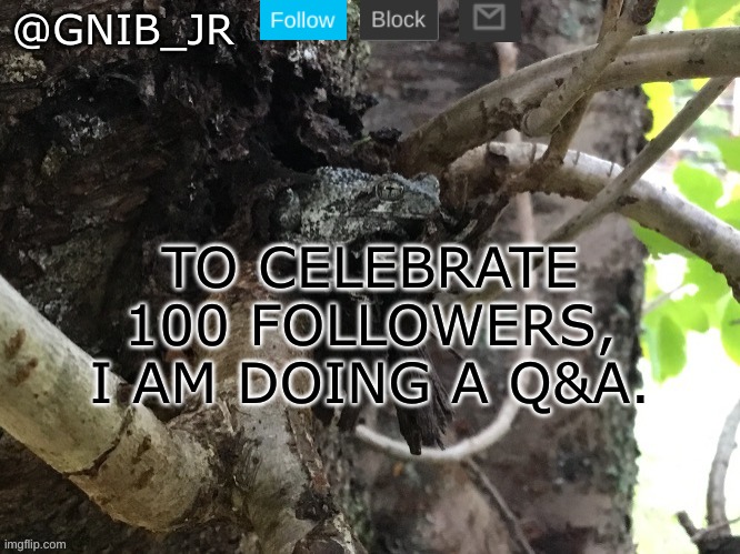 ask me anything | TO CELEBRATE 100 FOLLOWERS, I AM DOING A Q&A. | image tagged in gnib_jr's main template,q and a | made w/ Imgflip meme maker