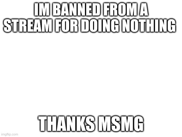 IM BANNED FROM A STREAM FOR DOING NOTHING; THANKS MSMG | made w/ Imgflip meme maker