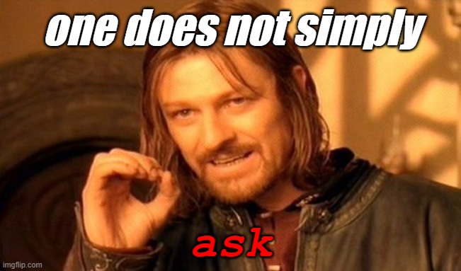 didnt ask |  one does not simply; ask | image tagged in memes,one does not simply | made w/ Imgflip meme maker