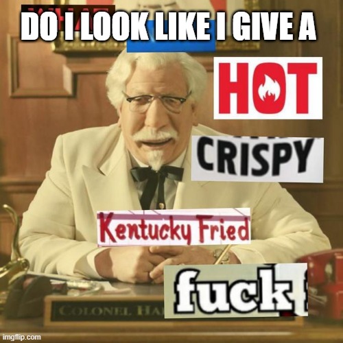 What in the hot crispy kentucky fried frick | DO I LOOK LIKE I GIVE A | image tagged in what in the hot crispy kentucky fried frick | made w/ Imgflip meme maker