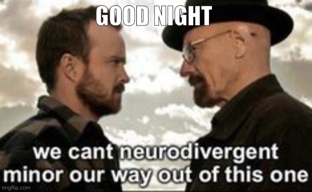 we cant neurodivergent minor our way out of this one | GOOD NIGHT | image tagged in we cant neurodivergent minor our way out of this one | made w/ Imgflip meme maker