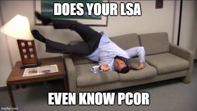 LSA PCOR (Preliminary Change of Ownership Report) | DOES YOUR LSA; EVEN KNOW PCOR | image tagged in parkour the office | made w/ Imgflip meme maker