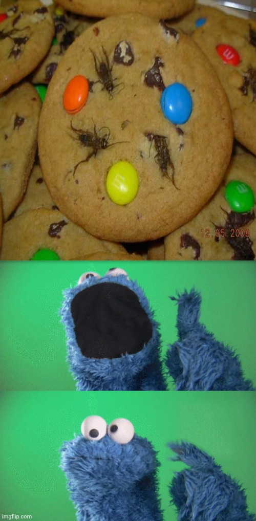 Bug cookies | image tagged in cookie monster wait what,bugs,bug,cookies,memes,cursed image | made w/ Imgflip meme maker