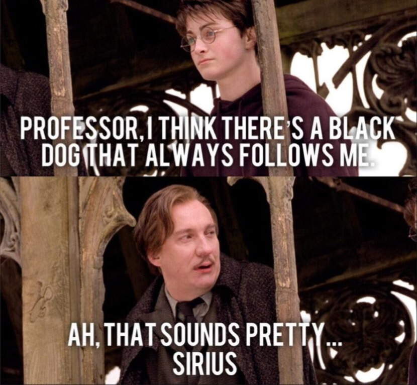 Harry and Professor Anti-Dementor Blank Meme Template