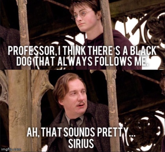 That's Sirius ;) | image tagged in harry and professor anti-dementor | made w/ Imgflip meme maker