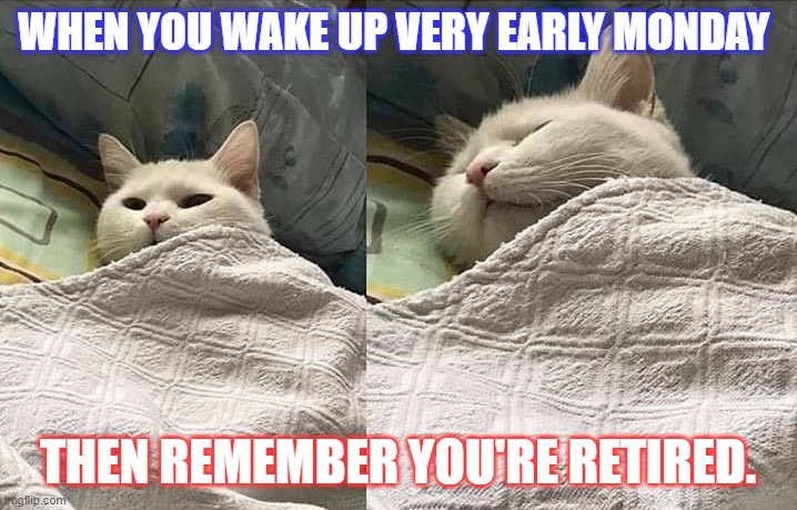 Retired Go Back To Sleep | WHEN YOU WAKE UP VERY EARLY MONDAY; THEN REMEMBER YOU'RE RETIRED. | image tagged in retire | made w/ Imgflip meme maker