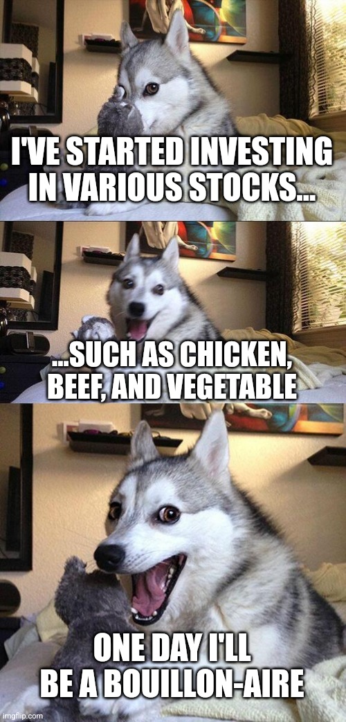 Soup stonks | I'VE STARTED INVESTING IN VARIOUS STOCKS... ...SUCH AS CHICKEN, BEEF, AND VEGETABLE; ONE DAY I'LL BE A BOUILLON-AIRE | image tagged in memes,bad pun dog,stocks,soup,stonks | made w/ Imgflip meme maker