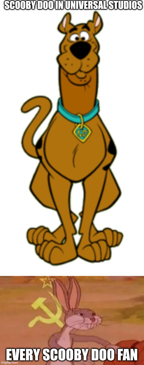Scooby Doo |  SCOOBY DOO IN UNIVERSAL STUDIOS; EVERY SCOOBY DOO FAN | image tagged in scooby doo,bugs bunny communist | made w/ Imgflip meme maker