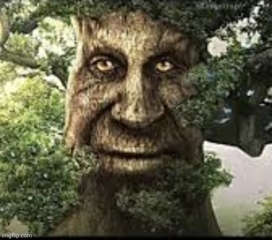 Wise mytical tree | image tagged in wise mytical tree | made w/ Imgflip meme maker