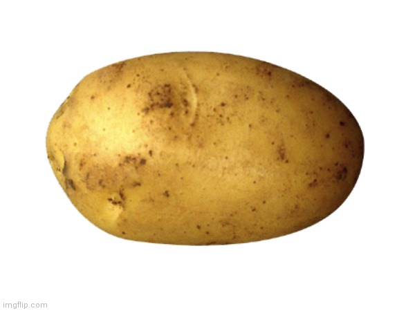 Potato ? ? ? ? ? | image tagged in potato | made w/ Imgflip meme maker