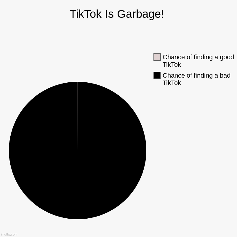 TikTok Is Garbage! | Chance of finding a bad TikTok, Chance of finding a good TikTok | image tagged in charts,pie charts | made w/ Imgflip chart maker