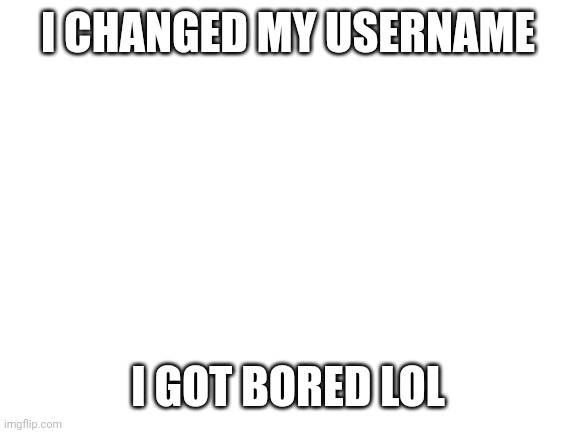 Idk | I CHANGED MY USERNAME; I GOT BORED LOL | image tagged in blank white template,memes | made w/ Imgflip meme maker