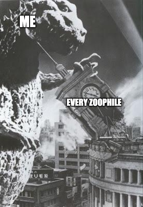 NO ZOOPHILES! IT IS UNGODLY AND INHUMANE!!! | ME; EVERY ZOOPHILE | image tagged in godzilla destroys a clock tower | made w/ Imgflip meme maker