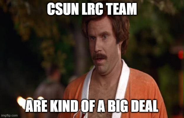 ron burgandy kind of a big deal | CSUN LRC TEAM; ARE KIND OF A BIG DEAL | image tagged in ron burgandy kind of a big deal | made w/ Imgflip meme maker