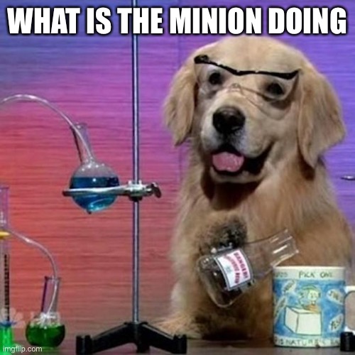 I Have No Idea What I Am Doing Dog Meme | WHAT IS THE MINION DOING | image tagged in memes,i have no idea what i am doing dog | made w/ Imgflip meme maker