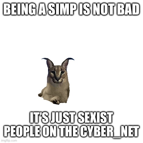You are sexist | BEING A SIMP IS NOT BAD; IT’S JUST SEXIST PEOPLE ON THE CYBER_NET | image tagged in memes | made w/ Imgflip meme maker