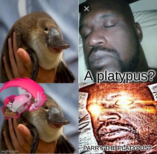 Only gamers and cartoon watchers understand this... | A platypus? PARRY THE PLATYPUS? | image tagged in memes,sleeping shaq,perry the platypus,platypus | made w/ Imgflip meme maker