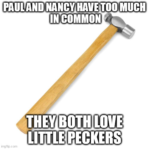 A little pecker joke. | PAUL AND NANCY HAVE TOO MUCH
 IN COMMON; THEY BOTH LOVE LITTLE PECKERS | image tagged in hammer,pelosi,funny | made w/ Imgflip meme maker