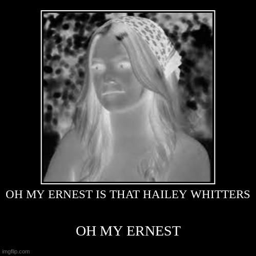 OH MY ERNEST IS THAT HAILEY WHITTERS | image tagged in funny,hailey whitters | made w/ Imgflip demotivational maker