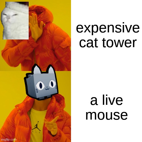 Drake Hotline Bling Meme | expensive cat tower; a live mouse | image tagged in memes,drake hotline bling | made w/ Imgflip meme maker