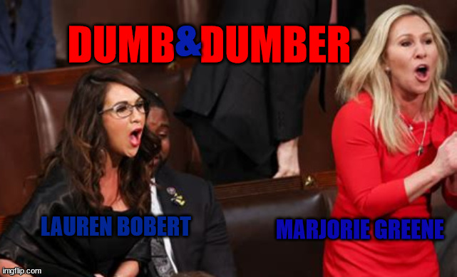 Dumb & Dumber | &; DUMB   DUMBER; LAUREN BOBERT; MARJORIE GREENE | image tagged in bobert,greene,maga,trumpers,idjits | made w/ Imgflip meme maker