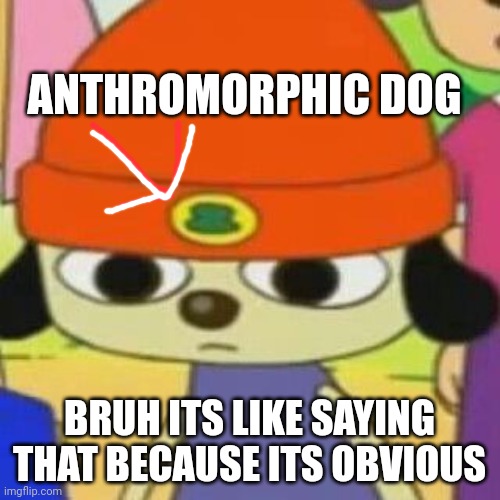 PaRappa Face | ANTHROMORPHIC DOG BRUH ITS LIKE SAYING THAT BECAUSE ITS OBVIOUS | image tagged in parappa face | made w/ Imgflip meme maker