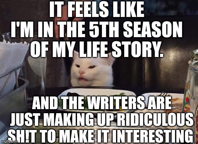  IT FEELS LIKE I'M IN THE 5TH SEASON OF MY LIFE STORY. AND THE WRITERS ARE JUST MAKING UP RIDICULOUS SH!T TO MAKE IT INTERESTING | image tagged in smudge the cat | made w/ Imgflip meme maker
