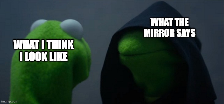 mirrors | WHAT THE MIRROR SAYS; WHAT I THINK I LOOK LIKE | image tagged in memes,evil kermit | made w/ Imgflip meme maker