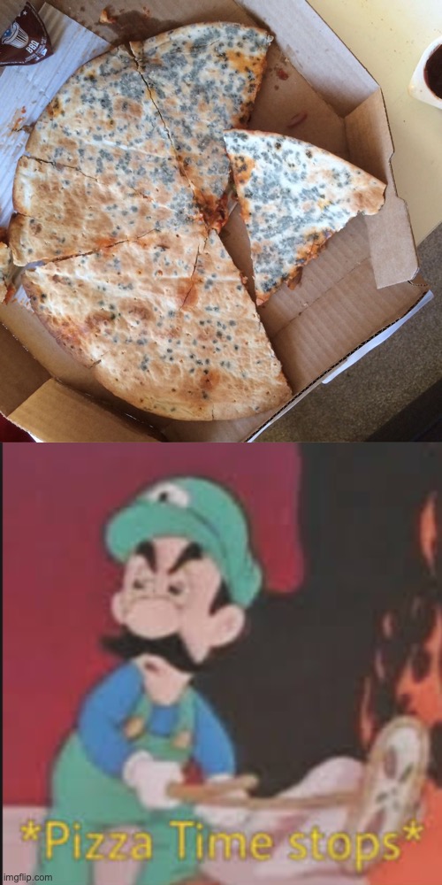 My first meme contest submission on pizza, hope to put this on you-had-one-job stream | image tagged in mouldy pizza,pizza time stops | made w/ Imgflip meme maker