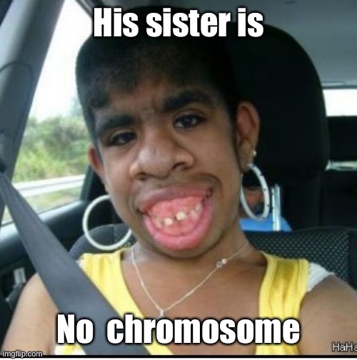 ugly girl | His sister is No  chromosome | image tagged in ugly girl | made w/ Imgflip meme maker