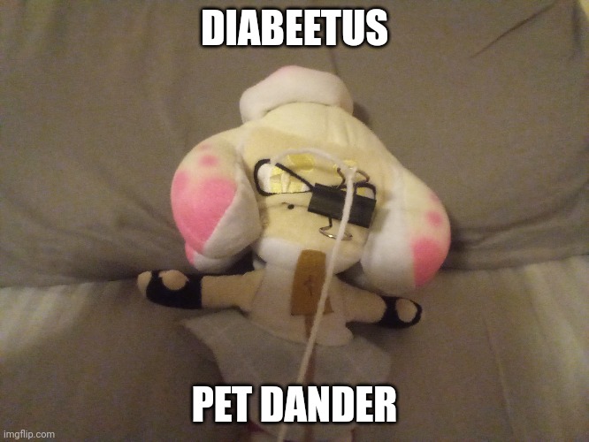 DIABEETUS PET DANDER | made w/ Imgflip meme maker