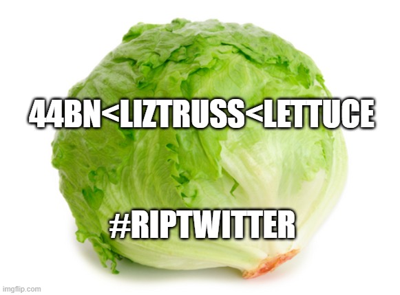 Twitter vs Lettuce ? | 44BN<LIZTRUSS<LETTUCE; #RIPTWITTER | image tagged in lettuce | made w/ Imgflip meme maker