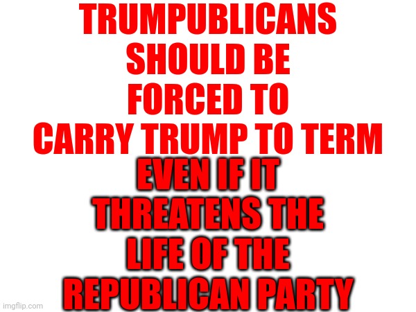 Sounds Fair | TRUMPUBLICANS SHOULD BE FORCED TO CARRY TRUMP TO TERM; EVEN IF IT THREATENS THE LIFE OF THE REPUBLICAN PARTY | image tagged in memes,trump logic,trumpublican christian nationalists,republicans,politics,rights | made w/ Imgflip meme maker
