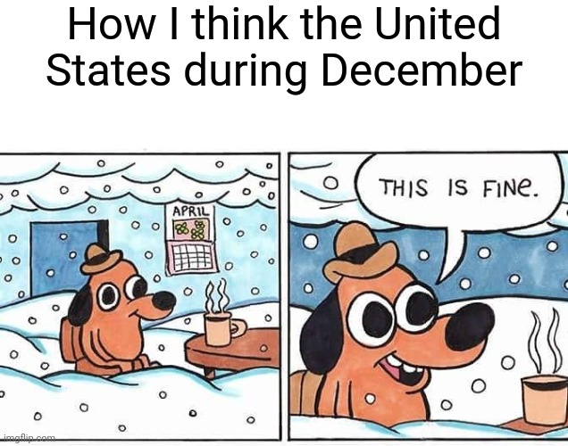 The United States during December | How I think the United States during December | image tagged in this is fine snow,united states,this is fine,christmas,december,memes | made w/ Imgflip meme maker
