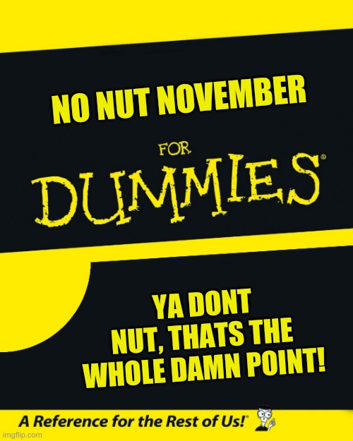 For Teens Only | NO NUT NOVEMBER; YA DONT NUT, THATS THE WHOLE DAMN POINT! | image tagged in for dummies | made w/ Imgflip meme maker