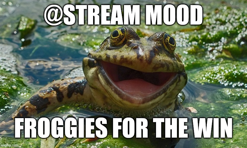 Ribbit | @STREAM MOOD; FROGGIES FOR THE WIN | image tagged in dad joke froggy | made w/ Imgflip meme maker