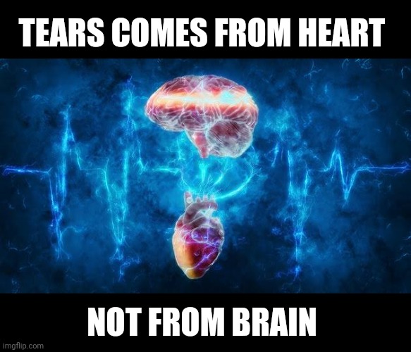 Lesson | TEARS COMES FROM HEART; NOT FROM BRAIN | image tagged in anime,emotional damage,emotions,sad | made w/ Imgflip meme maker