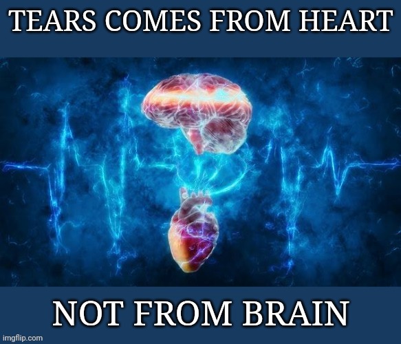 HeartXBrain | TEARS COMES FROM HEART; NOT FROM BRAIN | image tagged in heartxbrain | made w/ Imgflip meme maker