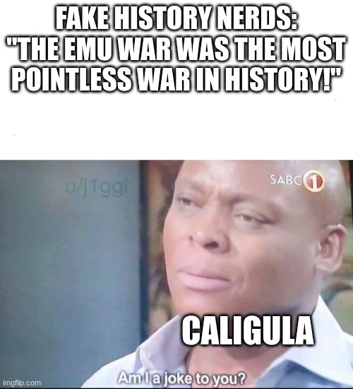 Seriously Caligula was freaking insane | FAKE HISTORY NERDS: "THE EMU WAR WAS THE MOST POINTLESS WAR IN HISTORY!"; CALIGULA | image tagged in am i a joke to you,history,history memes | made w/ Imgflip meme maker