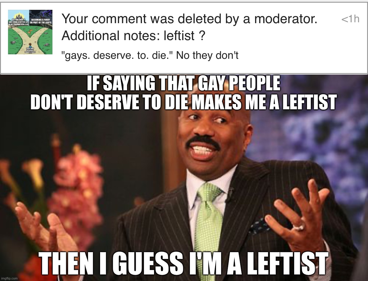 IF SAYING THAT GAY PEOPLE DON'T DESERVE TO DIE MAKES ME A LEFTIST; THEN I GUESS I'M A LEFTIST | image tagged in memes,steve harvey | made w/ Imgflip meme maker