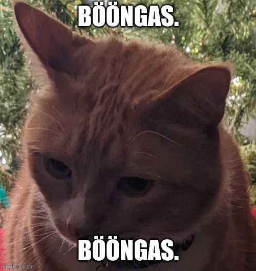 Bööngas. | BÖÖNGAS. BÖÖNGAS. | image tagged in b ngas | made w/ Imgflip meme maker